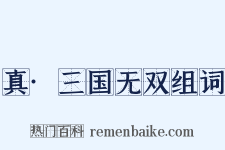 真·三国无双组词是什么意思的图片